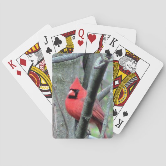 Roter Kardinal (männlich) Spielkarten (Rückseite)
