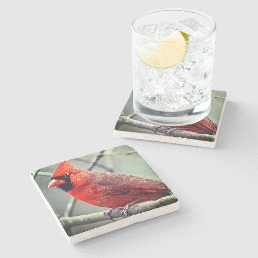 Roter Kardinal Marble Untersetzer Dunkle Kanten (Seitenansicht)