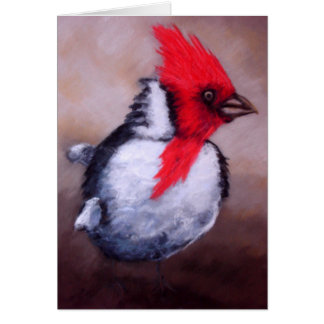 Roter Kardinal mit Haube