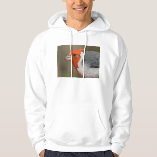 Roter Kardinal mit Haube Hoodie (Vorderseite)