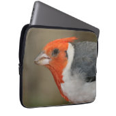 Roter Kardinal mit Haube Laptopschutzhülle (Vorne Rechts)