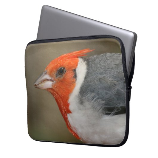 Roter Kardinal mit Haube Laptopschutzhülle (Vorderseite Links)