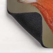 Roter Kardinal mit Haube Mousepad (Ecke)