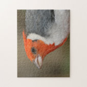 Roter Kardinal mit Haube Puzzle (Vertikal)