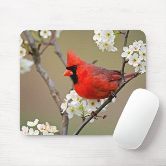 Roter Kardinal Mousepad (Mit Mouse)