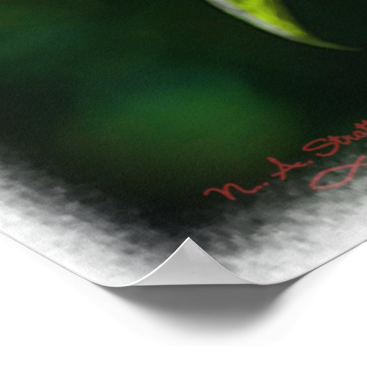 Roter Kardinal Poster (Ecke)