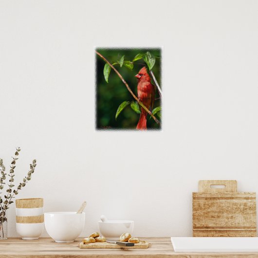 Roter Kardinal Poster (Küche)