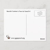 Roter Kardinal Postkarte (Rückseite)