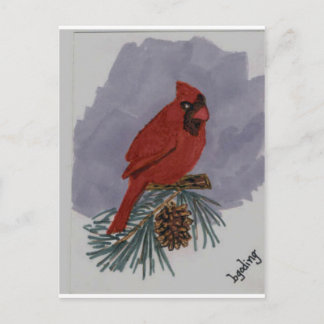 Roter Kardinal Postkarte