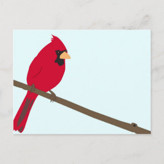 Roter Kardinal Postkarte