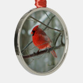 Roter Kardinal Premium Ornament (Rechts)