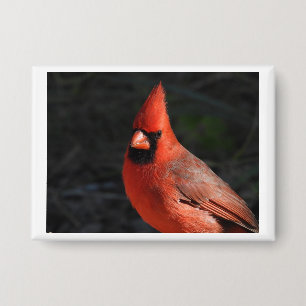Roter Kardinal Roter Vogel Portrait Pin Button