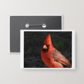 Roter Kardinal Roter Vogel Portrait Pin Button (Vorderseite/Rückseite)