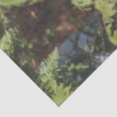 Roter Kardinal Rustikaler Charm Tissue Seidenpapier (Ausschnitt)