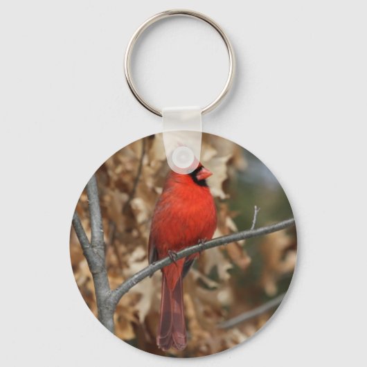 Roter Kardinal Schlüsselanhänger (Vorderseite)