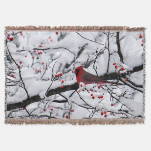 Roter Kardinal Schneebaum Foto Decke