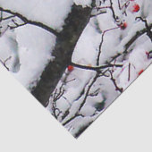 Roter Kardinal Schneebaum Foto Seidenpapier (Detail)