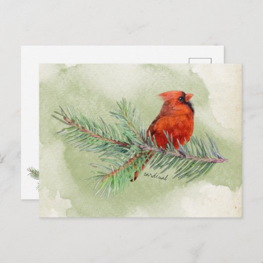 Roter Kardinal Schöne Rustikale Wasserfarbe Postkarte (Vorne/Hinten)