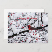Roter Kardinal Snow Tree Foto Geburtstag Postkarte (Vorne/Hinten)