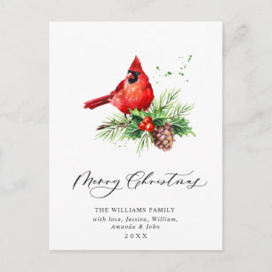 Roter Kardinal Stechpalmen-Weihnachtsfeiertag Postkarte