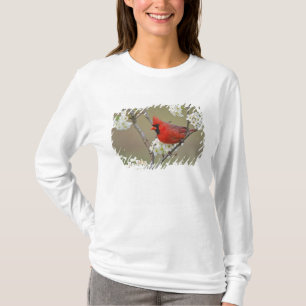 Roter Kardinal T-Shirt