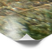 Roter Kardinal Titmouse Birds Fotodruck (Ecke)