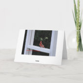 Roter Kardinal, Vermisst Karte (Rückseite)