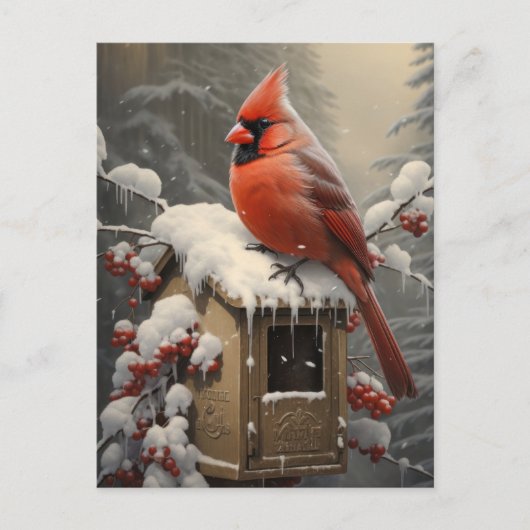 Roter Kardinal-Vogel auf der Mailbox Postkarte (Vorderseite)