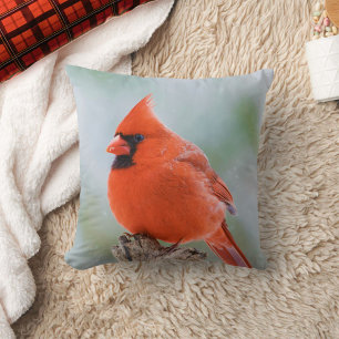 Roter Kardinal Vogel im Foto Schnee-Natur Kissen