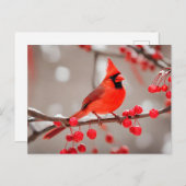 Roter Kardinal Vogel mit Waldbeeren Postkarte (Vorne/Hinten)