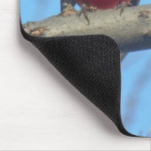 Roter Kardinal/Vogel Mousepad (Ecke)