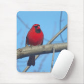 Roter Kardinal/Vogel Mousepad (Mit Mouse)