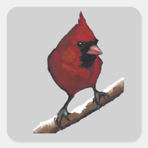 Roter Kardinal: Vogel: Öl-Pastell-Grafik Quadratischer Aufkleber