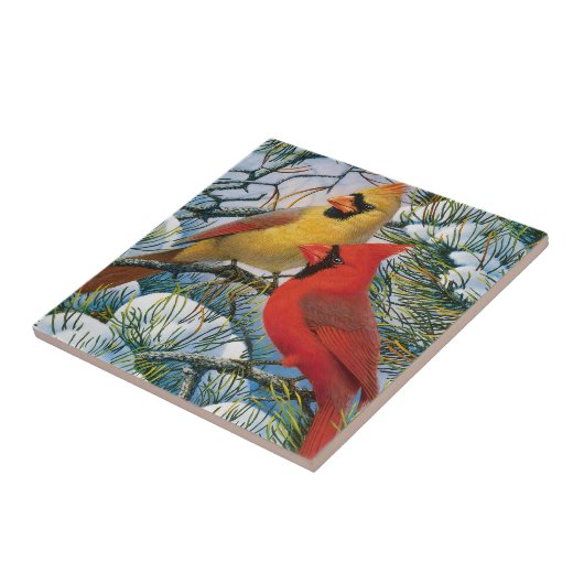 Roter Kardinal Vogelarten Winterschnee Keramik Fliese (Seite)