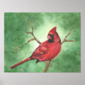 Roter Kardinal von Männern in Bäumen Poster (Vorne)