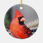 Roter Kardinal Wappen Keramik Ornament (Vorne)