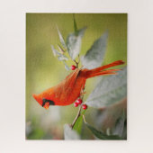 Roter Kardinal Weihnachtsferien Natur Puzzle (Vertikal)