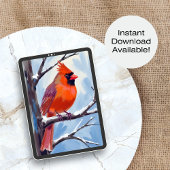 Roter Kardinal Winterfarbe Feiertagskarte