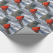 Roter Kardinals-Vogel Geschenkpapier (Ecke)