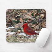 Roter Kardinals-Vogel im Blätter Mousepad (Mit Mouse)
