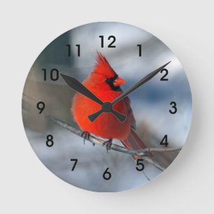 Roter Kardinals-Vogel Runde Wanduhr