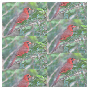 Roter Kardinals-Vogel Stoff