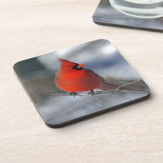 Roter Kardinals-Vogel Untersetzer (Linke Seite)