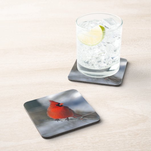 Roter Kardinals-Vogel Untersetzer (Rechte Seite)