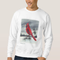 Roter Kardinals-Vogel-weiche Ränder