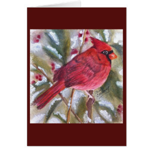 ROTER KARDINALSPECIAL