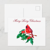 Roter Kardinalvogel auf Zweig mit Stechpalmenbeere Postkarte (Vorne/Hinten)