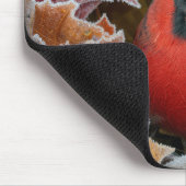 Roter Kardinalvogel in frostigen Herbstblättern Mousepad (Ecke)