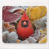 Roter Kardinalvogel in frostigen Herbstblättern Mousepad (Vorne)