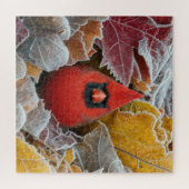 Roter Kardinalvogel in frostigen Herbstblättern Puzzle (Horizontal)